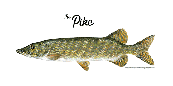 Pike page.